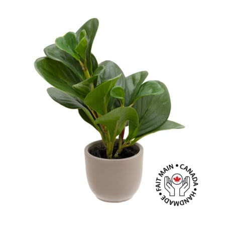 Mini plante de peperomia artificiel en pot taupe