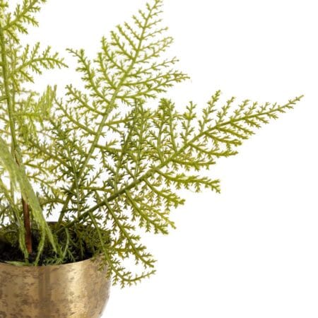 Mini artificial fern plant in a gold pot - Décors Véronneau