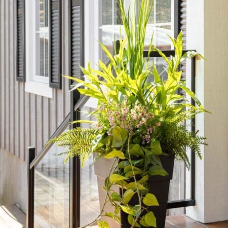 Variegated UV-resistant outdoor foliage, 30'' - Décors Véronneau