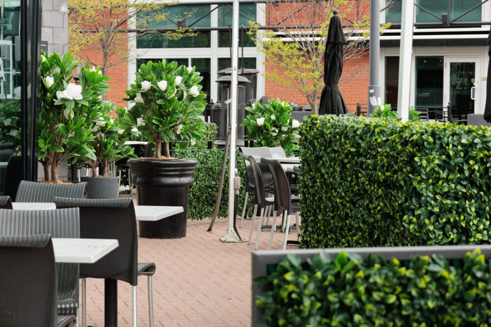 Terrasse de restaurant avec treillis de haie artificielle - Décors Véronneau