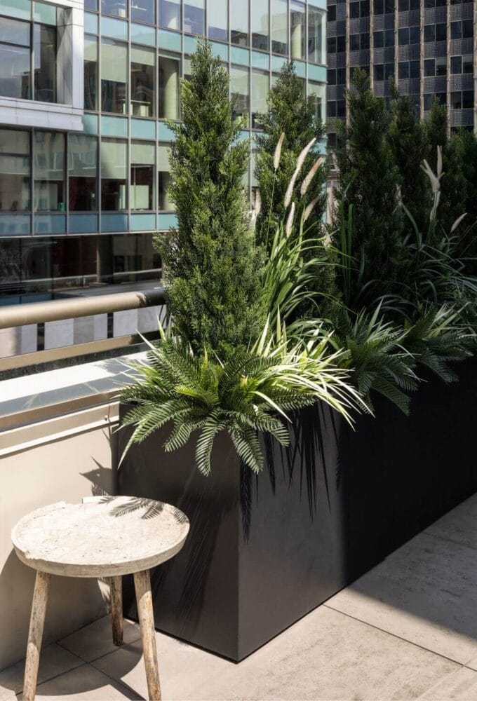 Cèdres en jardinière haute - Décors Véronneau