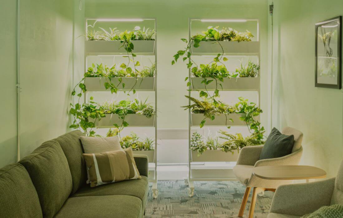 Décoration végétale, biophilitique - Décors Véronneau