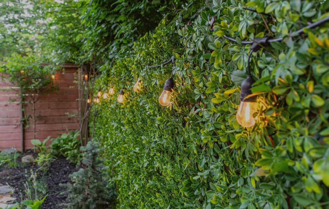 Haies artificielles et treillis extensibles avec guirlande lumineuse - Décors Véronneau