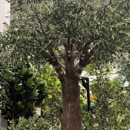 Arbre olivier méditerranéen artificiel ignifuge - Décors Véronneau