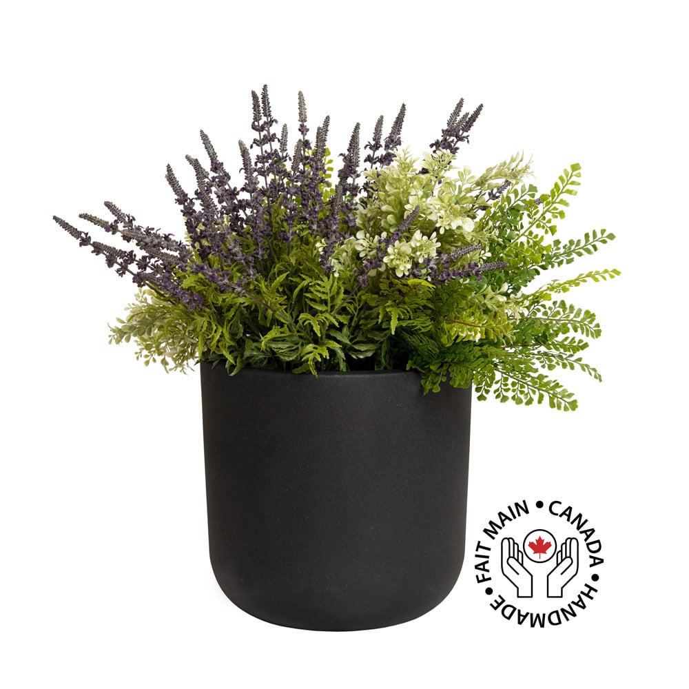 Buis, lavande et fougère en pot arrondi noir - Décors Véronneau