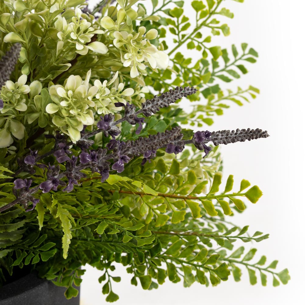 Buis, lavande et fougère en pot arrondi noir - Décors Véronneau
