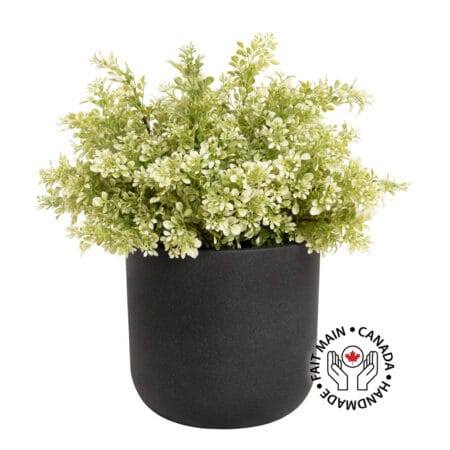 Artificial light green boxwood in a black planter