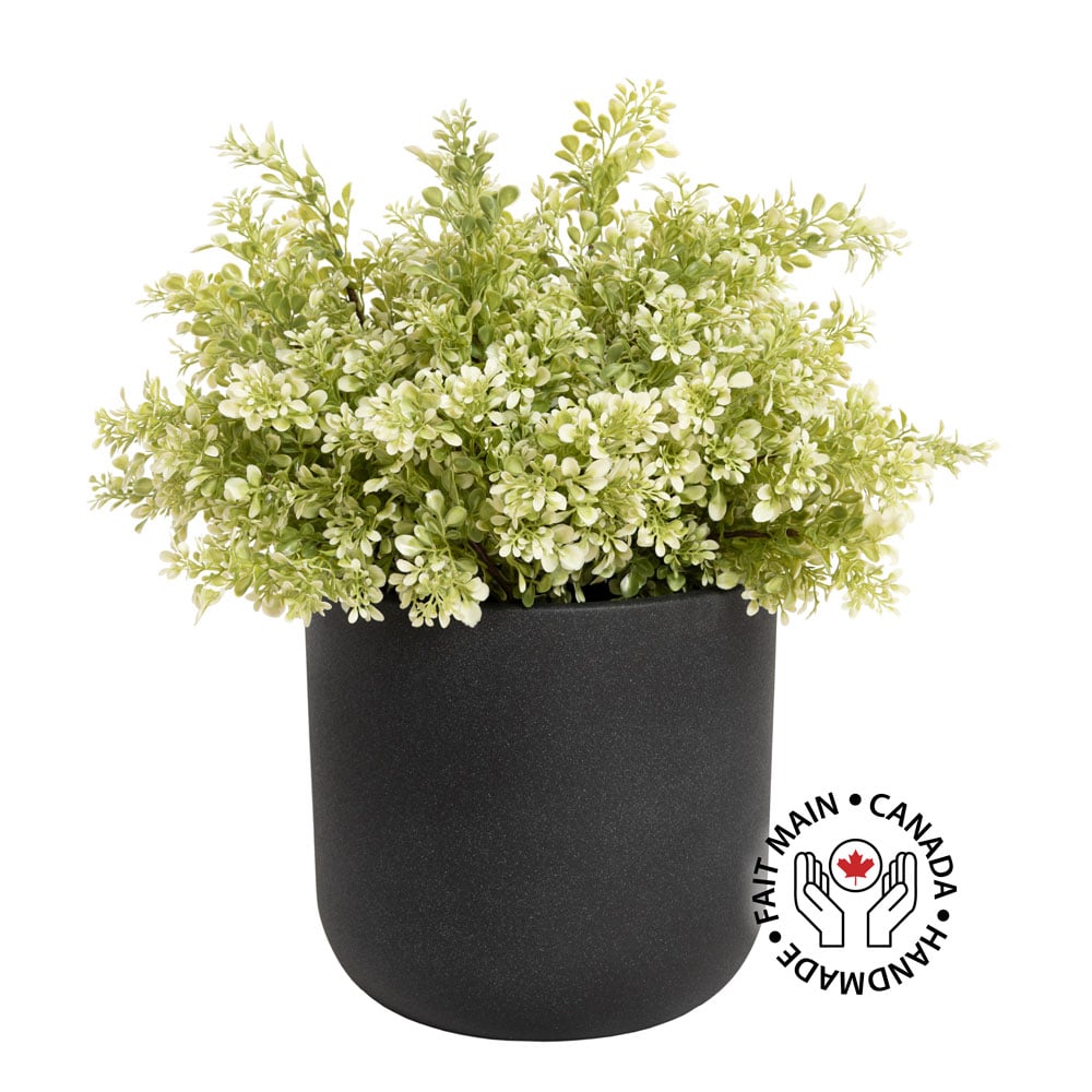 Buis vert pâle artificiel en pot arrondi noir - Décors Véronneau