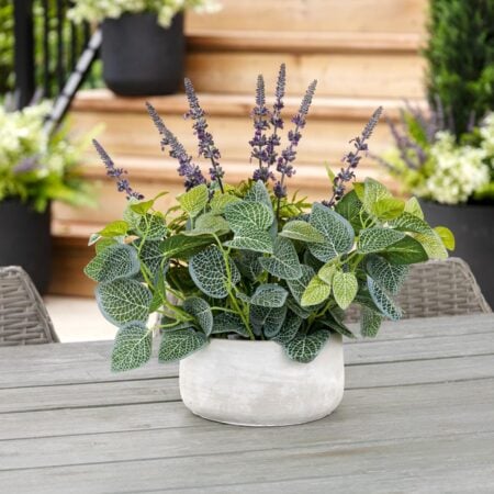 Centre de table de lavande et fittonia - Décors Véronneau