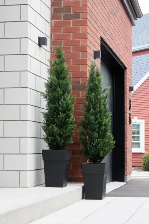 Duo en cèdres artificiels en pot noir