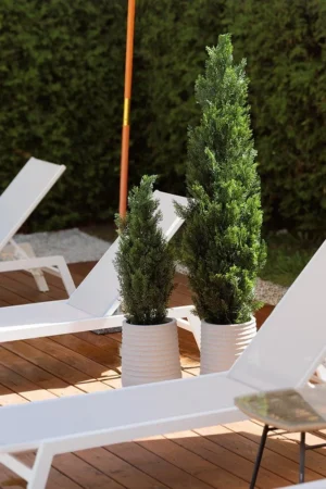 Duo de cèdres artificiels en pot