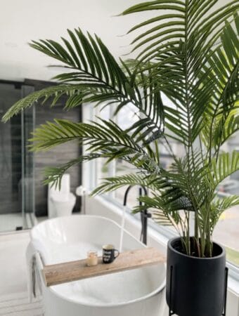 Artificial palm tree in a spa-style bathroom