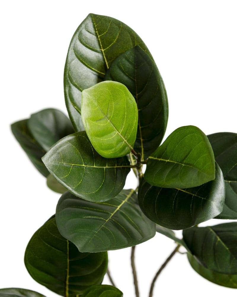 Feuillage d'artocarpus artificiel - Décors Véronneau