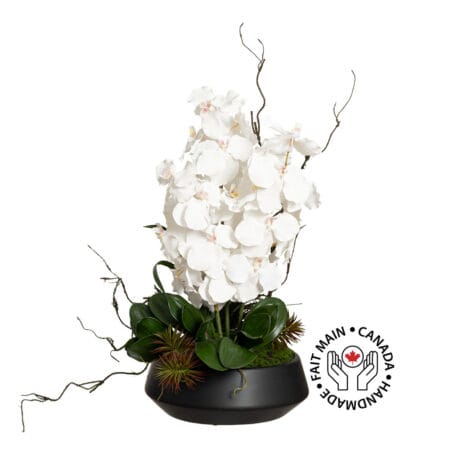 Arrangement d'orchidées blanches et succulentes