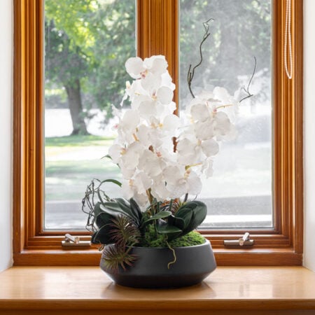 Arrangement d'orchidées blanches et succulentes - Décors Véronneau