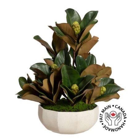 Arrangement de feuillage de magnolia en pot géométrique