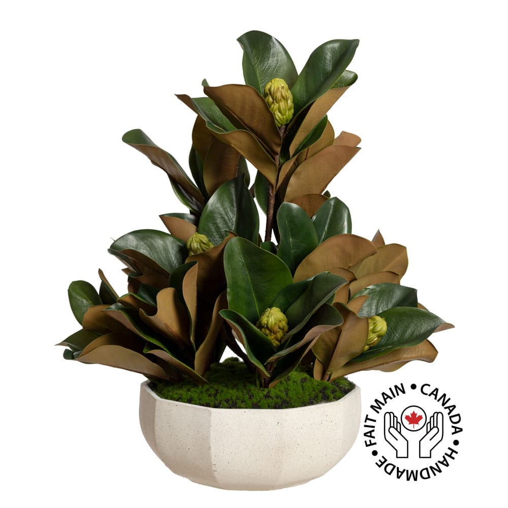 Arrangement de feuillage de magnolia en pot géométrique - Décors Véronneau