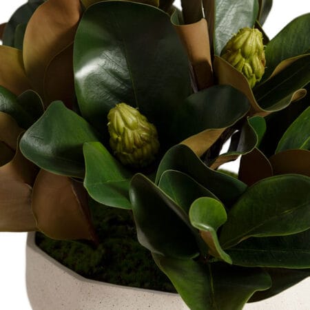 Arrangement de feuillage de magnolia en pot géométrique - Décors Véronneau