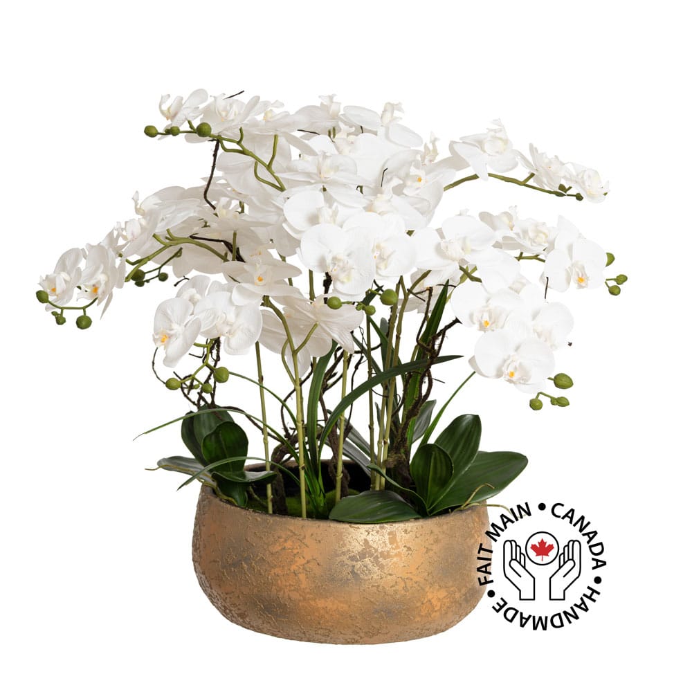 Arrangement d'orchidées blanches dans un bol doré en terre cuite - Décors Véronneau