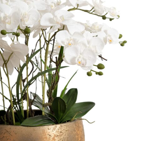 Arrangement d'orchidées blanches dans un bol doré en terre cuite - Décors Véronneau