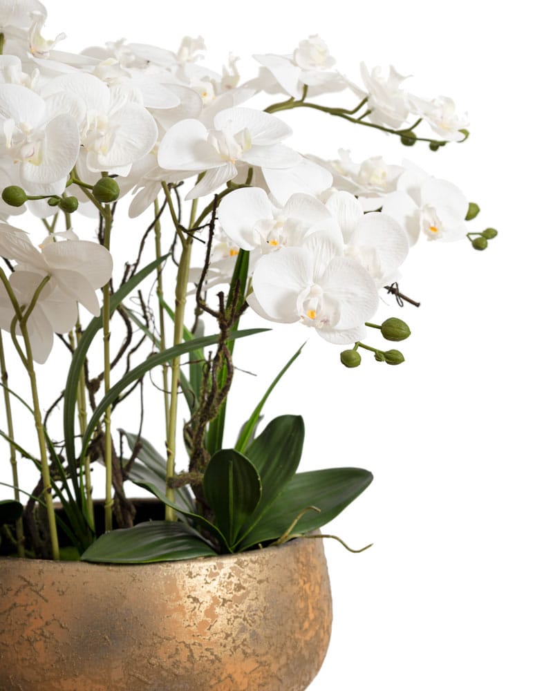 Arrangement d'orchidées blanches dans un bol doré en terre cuite - Décors Véronneau