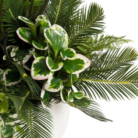 Grand arrangement de verdure avec feuille de palmier - Décors Véronneau