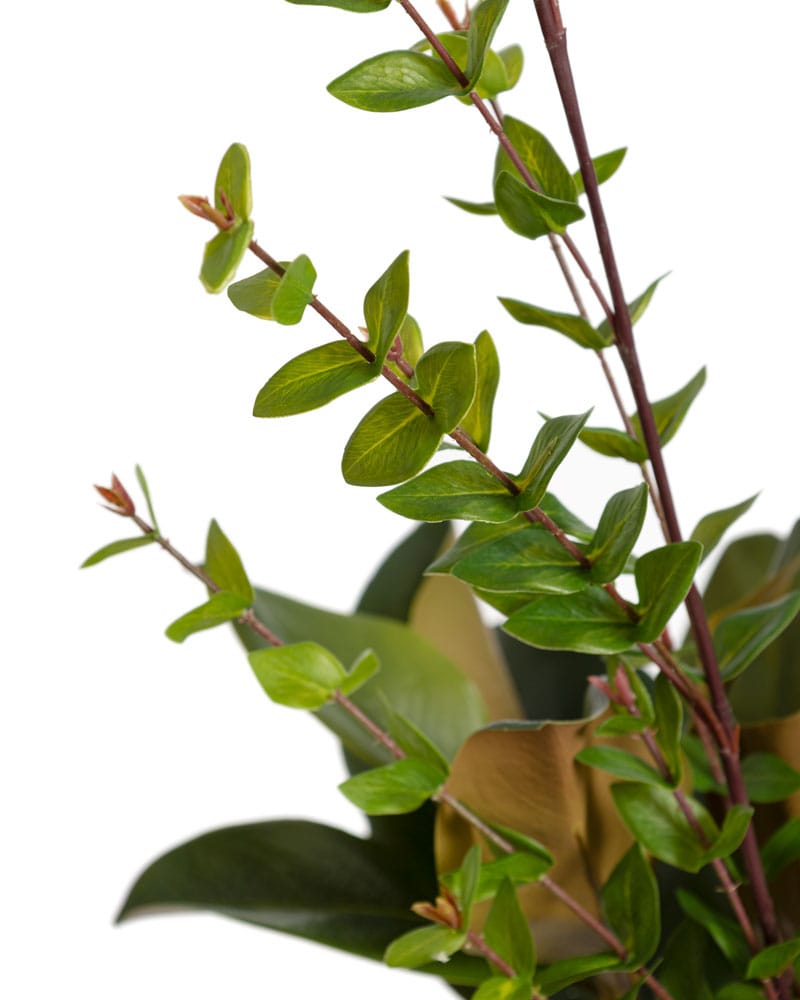 Grand arrangement de sol de verdure variée - Décors Véronneau