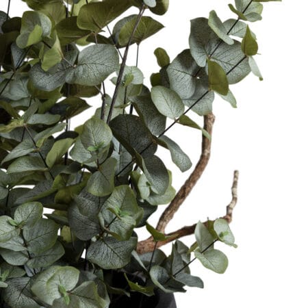 Feuillage d'eucalyptus et branches en pot noir - Décors Véronneau