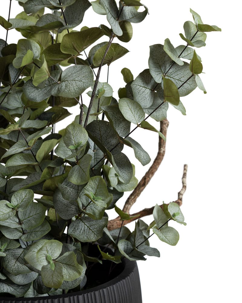 Feuillage d'eucalyptus et branches en pot noir - Décors Véronneau