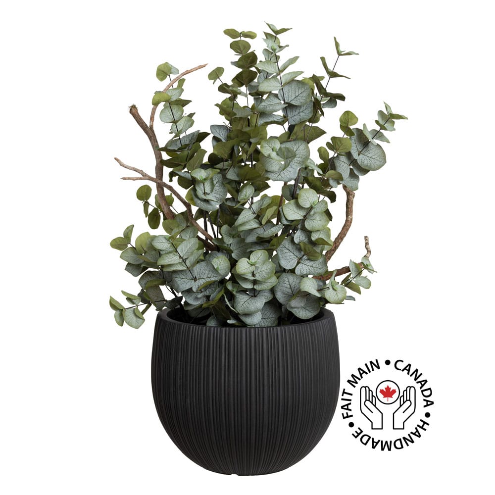Feuillage d'eucalyptus et branches en pot noir - Décors Véronneau