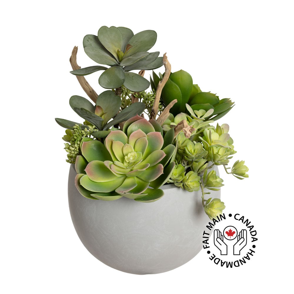 Arrangement de succulentes et branches en bol - Décors Véronneau