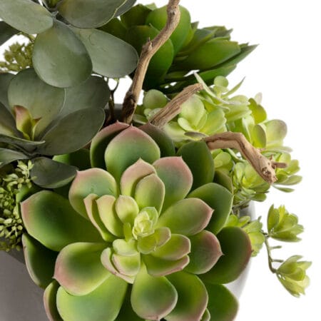 Arrangement de succulentes et branches en bol - Décors Véronneau