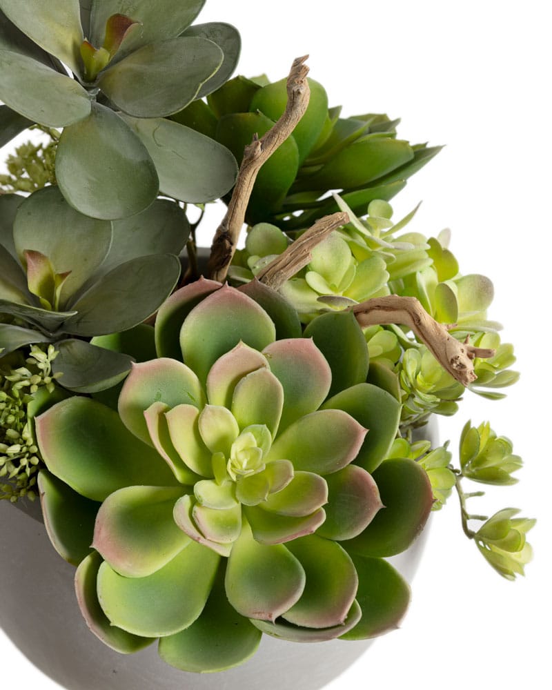Arrangement de succulentes et branches en bol - Décors Véronneau