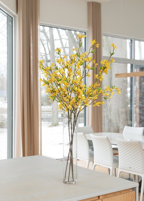 Forsythia en vase