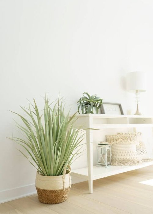 Décor boho avec herbes vertes