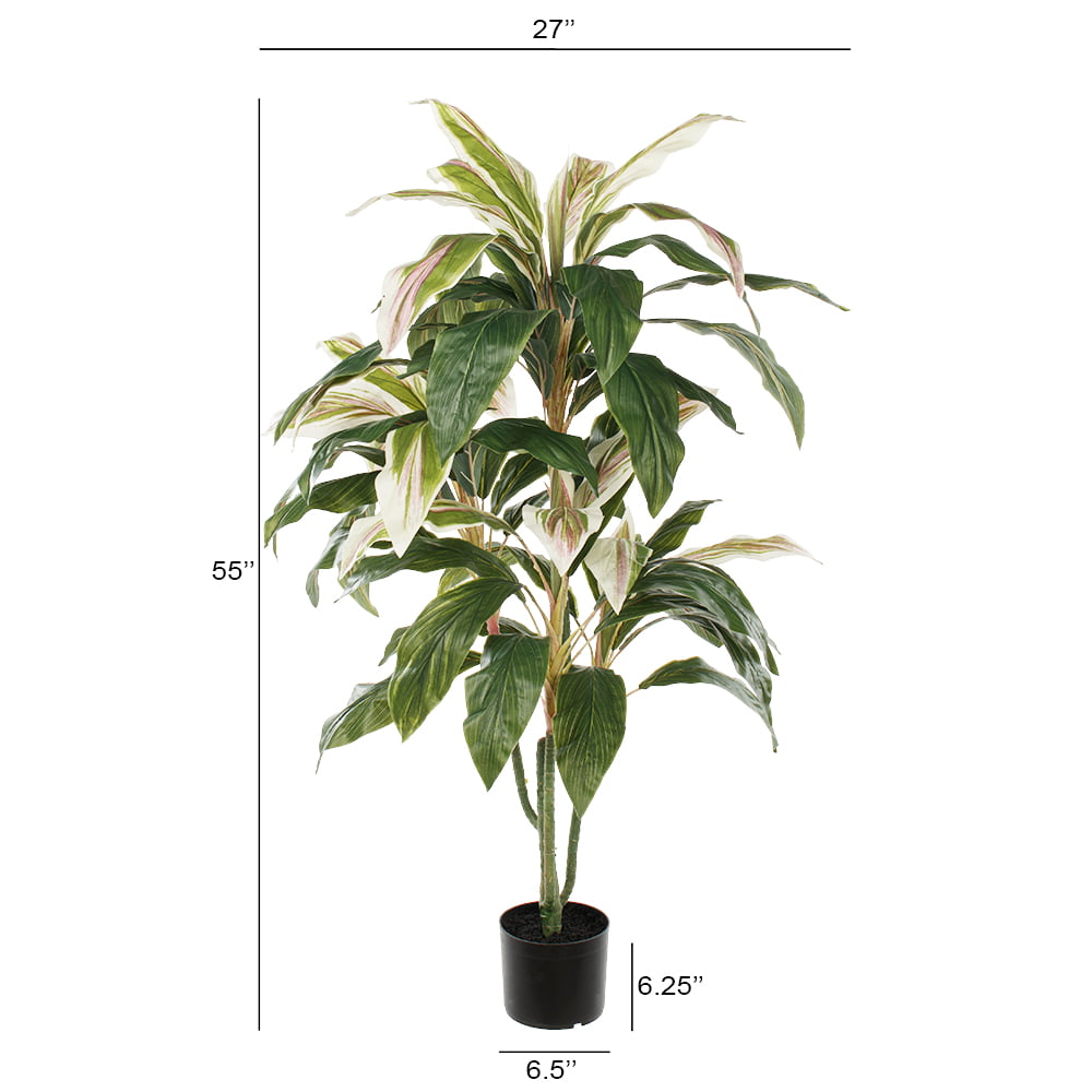 Artificial green and cream cordyline plant, 55" - Image 4 - Décors Véronneau