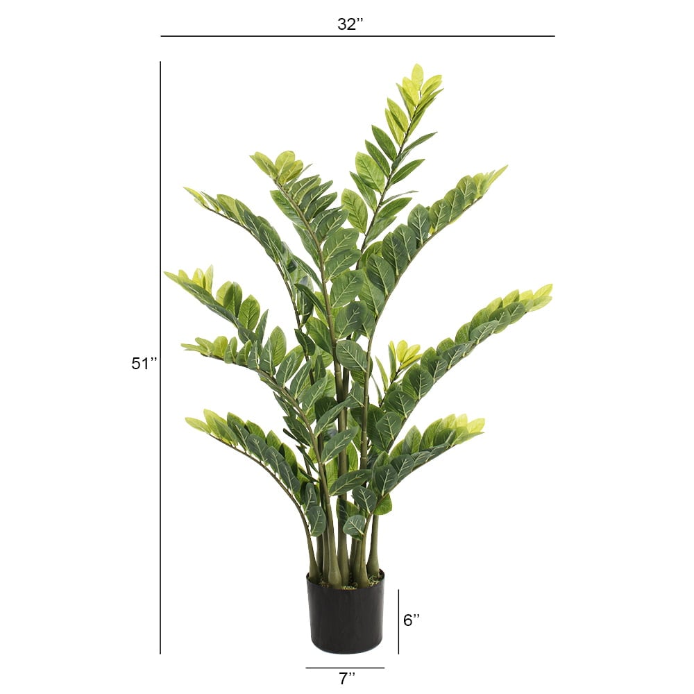 Plante artificielle zamioculcas, 51" – Image 4 - Décors Véronneau