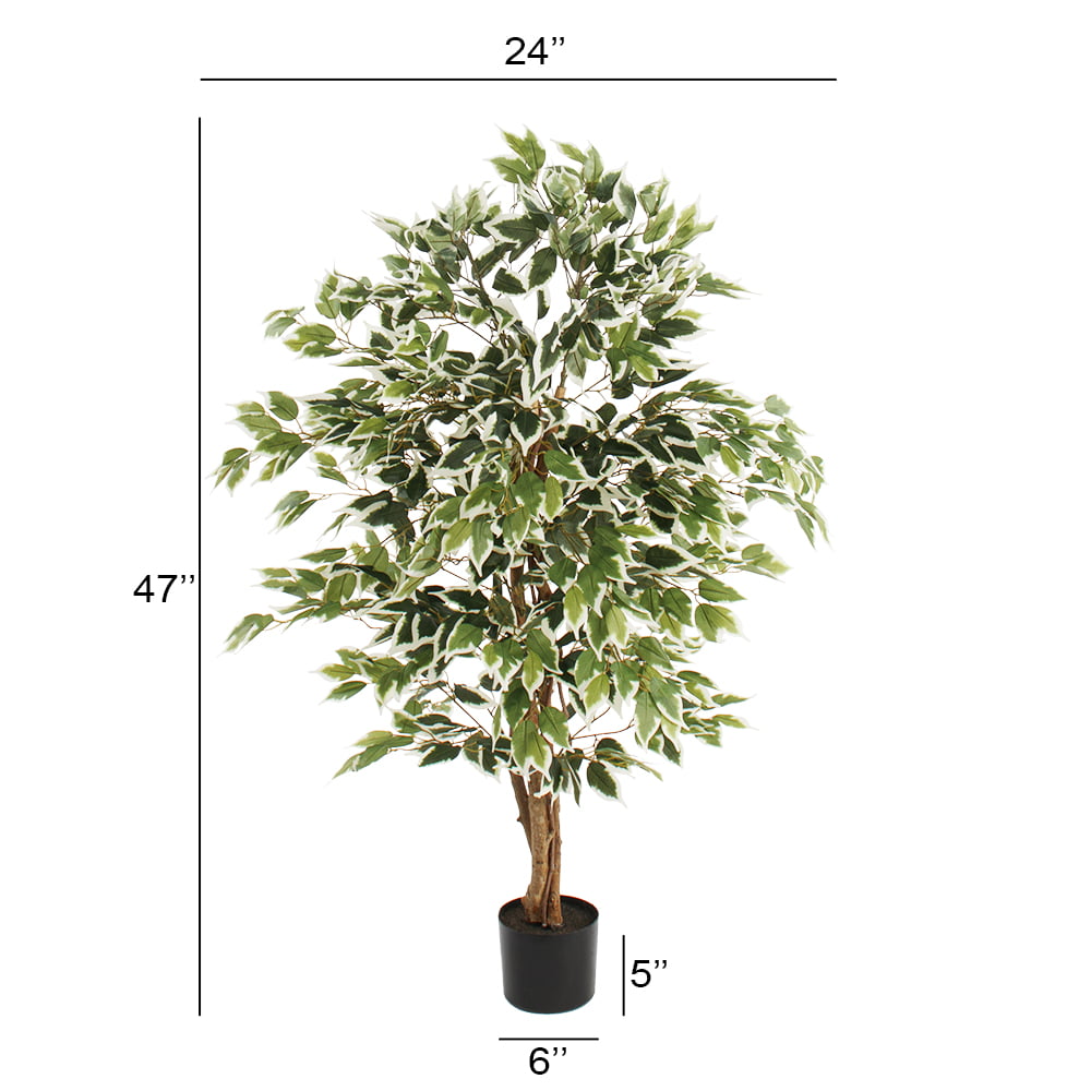 Artificial variegated ficus tree, 47'' - Image 3 - Décors Véronneau