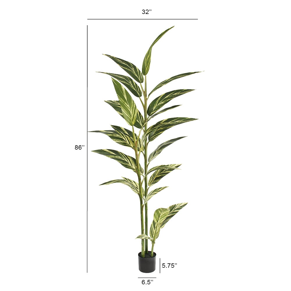 Plante artificielle d'alpinia vittata, 86