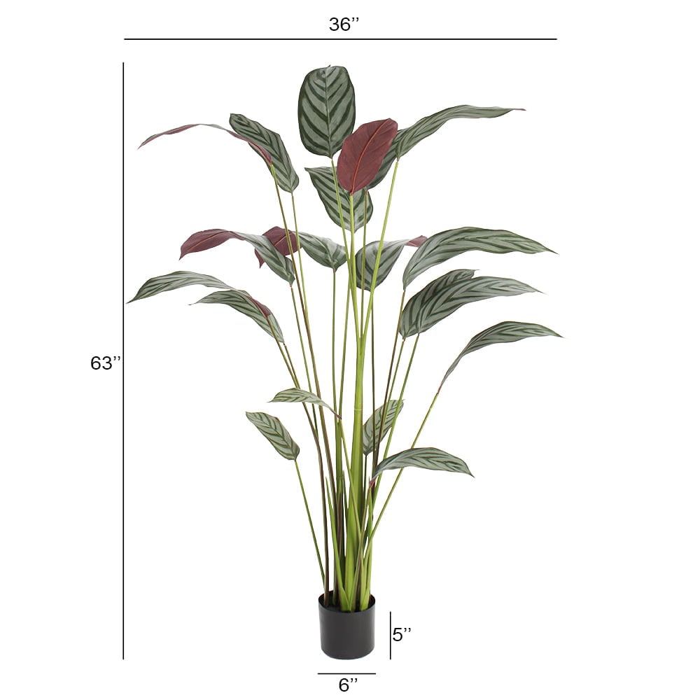 Plante artificielle cténante, 63" – Image 8 - Décors Véronneau