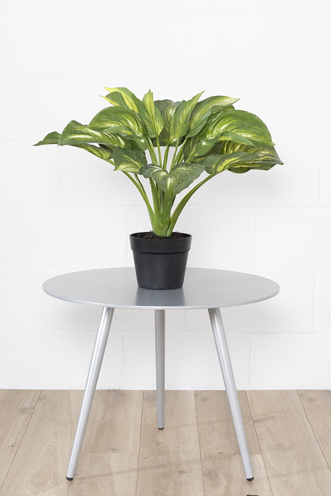Artificial hosta houseplant, 22'' - Image 4 - Décors Véronneau