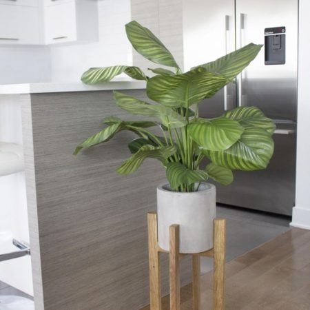 Plante artificielle calathéa fasciata, 31'' - Décors Véronneau