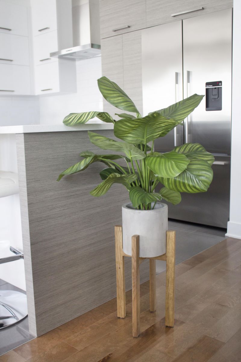 Artificial calathea fasciata, 31'' - Décors Véronneau