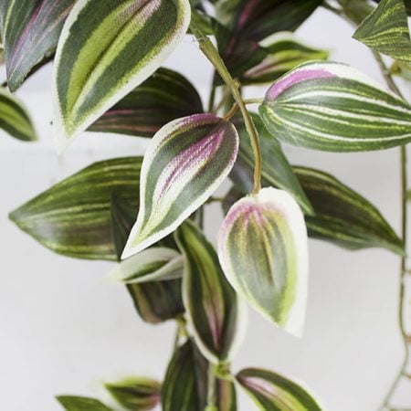 Plante suspendue de misère pourpre artificielle, 16