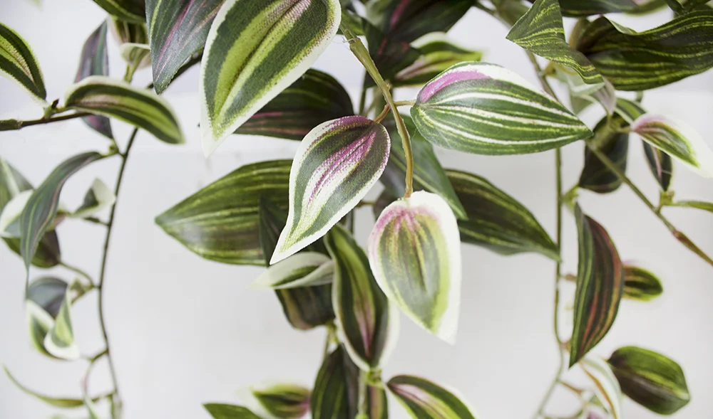 Artificial hanging wandering jew plant, 16