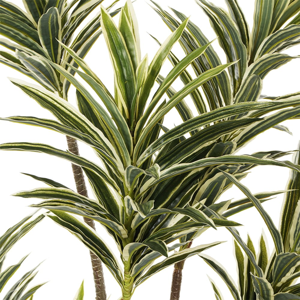 Dracaena panaché artificiel au toucher réel, 46'' – Image 4 - Décors Véronneau