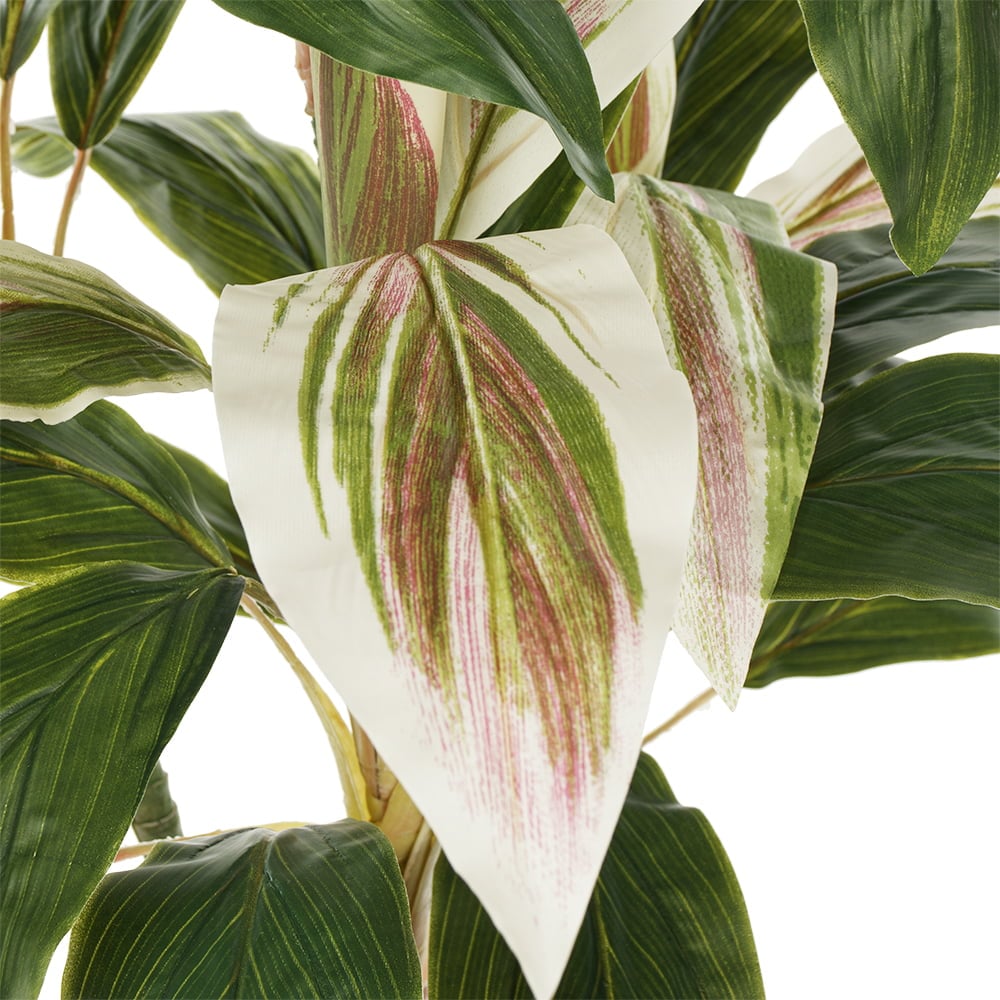 Artificial green and cream cordyline plant, 55" - Image 5 - Décors Véronneau