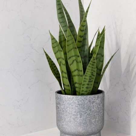 Cache-pot argent en terre cuite - Décors Véronneau