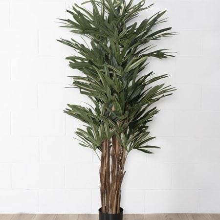 Palmier raphis artificiel, 60'' - Décors Véronneau