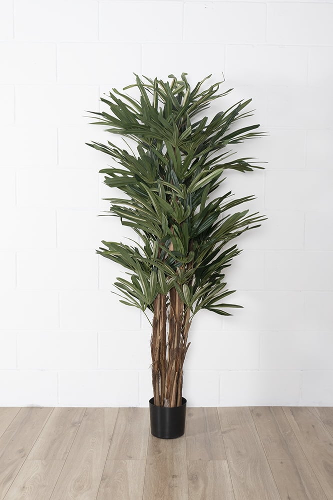 Artificial raphis palm, 60'' - Décors Véronneau